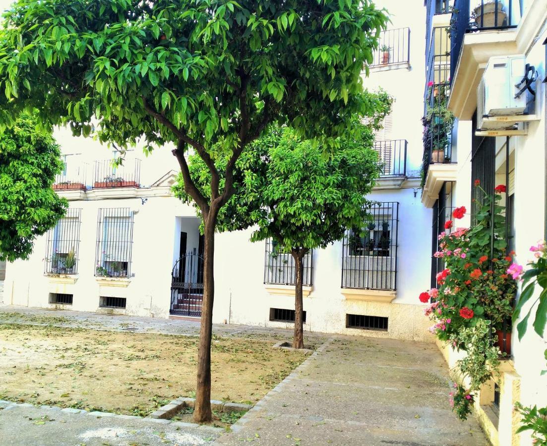Apartamento Plaza Compania Jerez Jerez de la Frontera Exterior photo