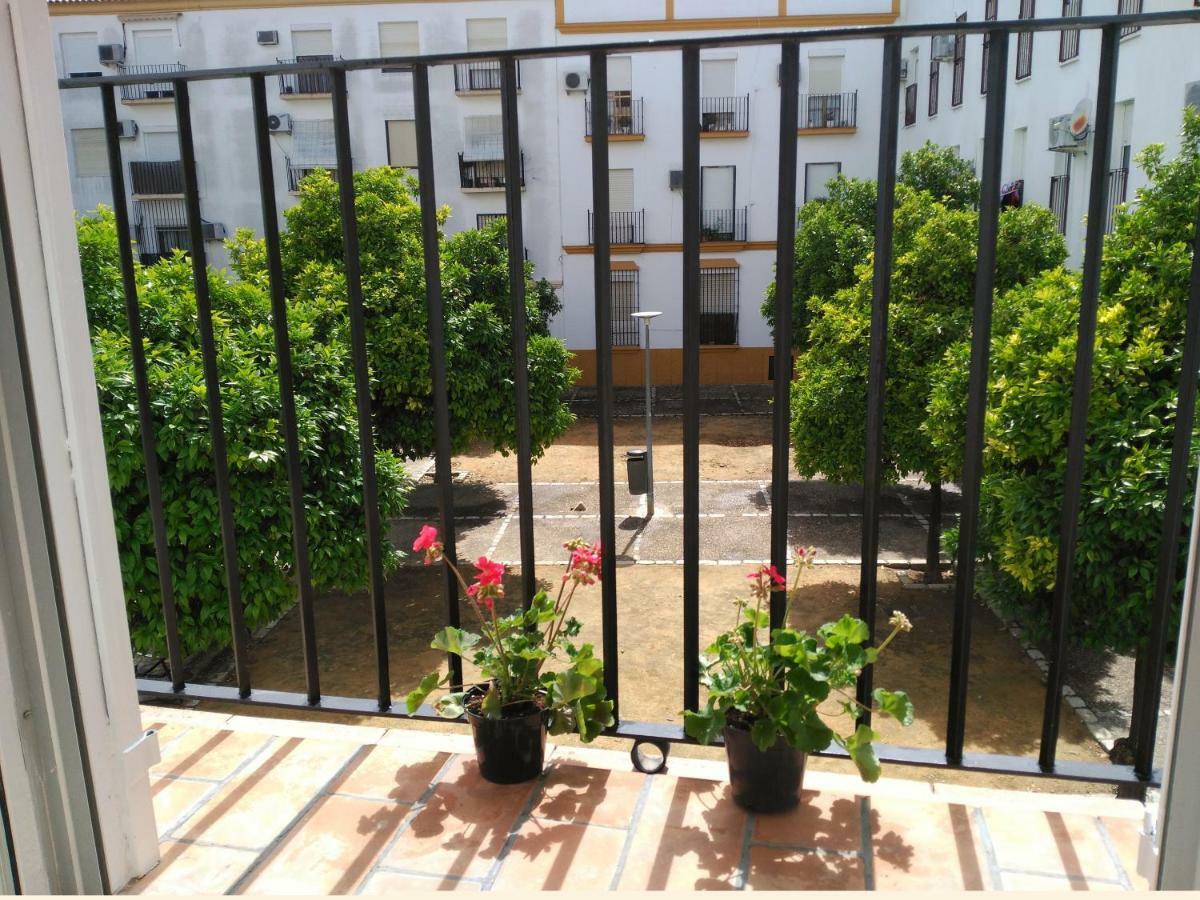 Apartamento Plaza Compania Jerez Jerez de la Frontera Exterior photo